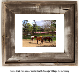 horse trail rides near me in South Orange Village, New Jersey